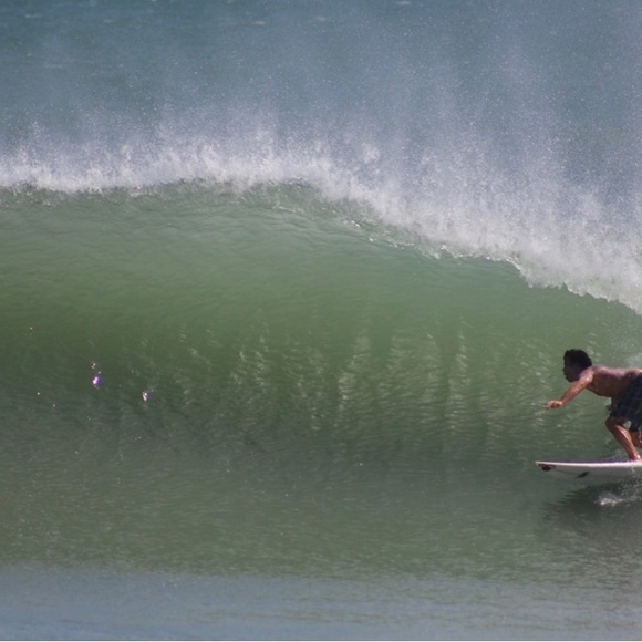 Meet your Posher, Peter - Picture 4 of 12